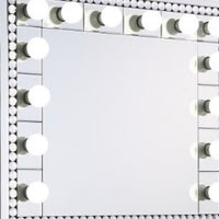 Rose 32 Inch Vanity Lighted Wall Mirror, 11 Bulbs, Faux Diamond, Silver - BM274653