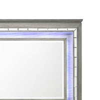 48 Inch Wood Mirror, LED, Mirrored Trim, Landscape, Light Gray - BM275063