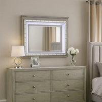 48 Inch Wood Mirror, LED, Mirrored Trim, Landscape, Light Gray - BM275063