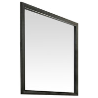 45 Inch Solid Wood Mirror, Portrait Frame, Rectangular, Gray - BM275071