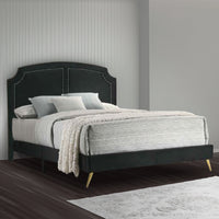 Lily Platform King Upholstered Bed, Padded Headboard, Black, Gold - BM275735