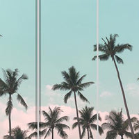 72 Inch 3 Panel Canvas Foldable Room Divider, Blue Sky, Palm Trees, Black - BM276720