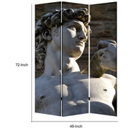 Brar 71 Inch 3 Panel Canvas Screen, Michelangelos David Print, Multicolor - BM287512