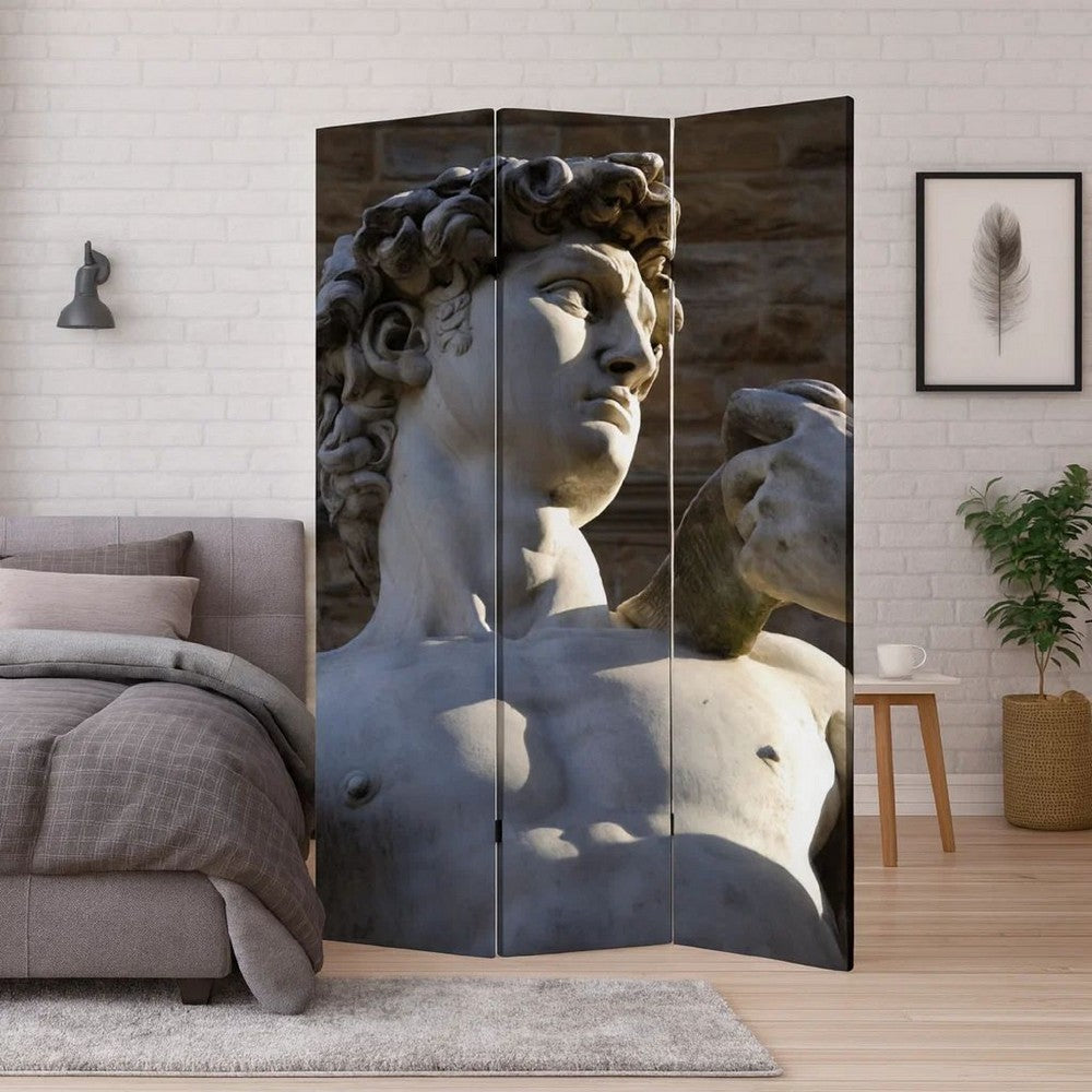 Brar 71 Inch 3 Panel Canvas Screen, Michelangelos David Print, Multicolor - BM287512