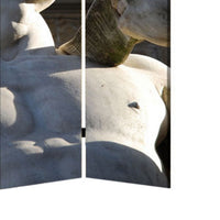 Brar 71 Inch 3 Panel Canvas Screen, Michelangelos David Print, Multicolor - BM294252