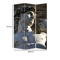 Brar 71 Inch 3 Panel Canvas Screen, Michelangelos David Print, Multicolor - BM294252