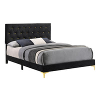 Lif Platform Queen Size Bed, Panel Tufted Headboard, Gold, Black Velvet  - BM297255
