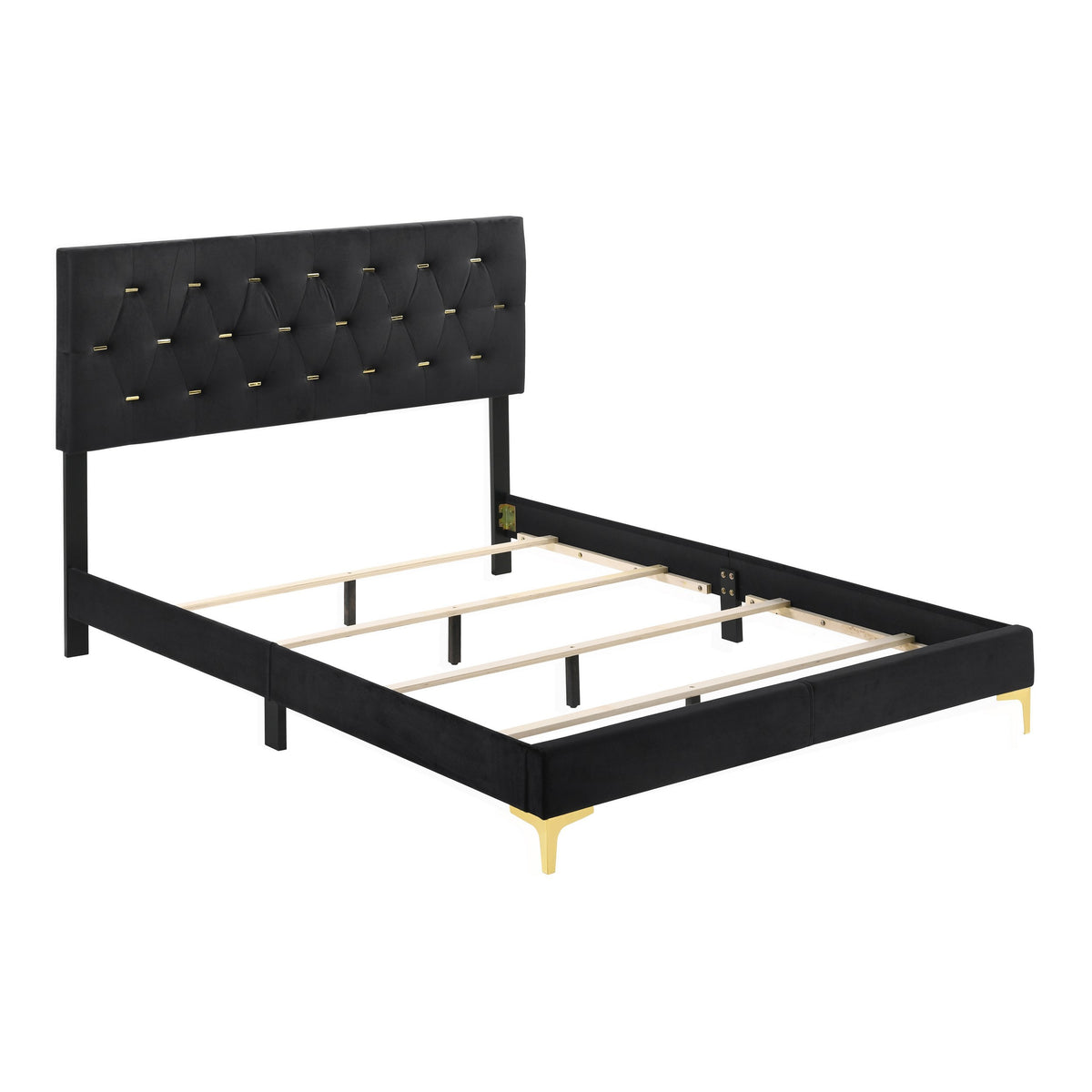 Lif Platform Queen Size Bed, Panel Tufted Headboard, Gold, Black Velvet  - BM297255