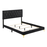 Lif Platform Queen Size Bed, Panel Tufted Headboard, Gold, Black Velvet  - BM297255