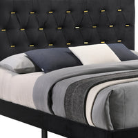 Lif Platform Queen Size Bed, Panel Tufted Headboard, Gold, Black Velvet  - BM297255
