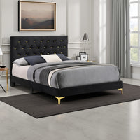 Lif Platform Queen Size Bed, Panel Tufted Headboard, Gold, Black Velvet  - BM297255
