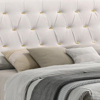 Lif Platform Queen Size Bed, Panel Tufted Headboard, Gold Legs White Velvet  - BM297258