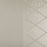 Trace 48 Inch Sofa Console Table, Glass Top, 2 Drawers, Mirror Inserts - BM300723