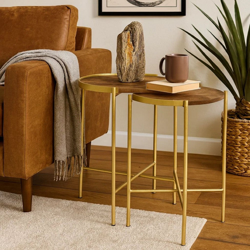 2 Piece Round Nesting Tables, Gold Iron, Modern Mango Wood, Warm Brown - BM309212