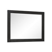 Galle 38 x 50 Dresser Mirror, Rectangular, Metal Accents, Dark Gray Wood - BM309566