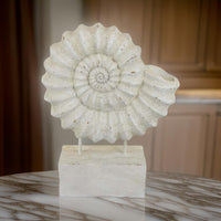 Shyn 19 Inch Shell Decor, Resin, Wood Stand, Classic Antique White Finish - BM310180