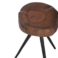 24 Inch Side End Table, Round Mango Wood Brown Tree Top, Black Metal Tripod - BM312099