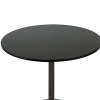 Mari 36 Inch Dining Table, Smooth Black Round Top and Stainless Steel Base - BM312266