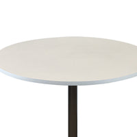 Mari 36 Inch Dining Table, Smooth White Round Top and Stainless Steel Base - BM312267