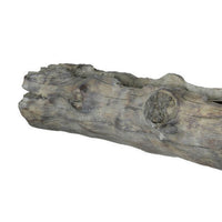 28 Inch Wall Shelf, Tree Trunk Design Home Decor, Gray Polyresin Finish - BM312764