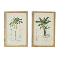 24 x 32 Framed Art Print Set of 2, Tree Design, Fir Wood, Green, Brown - BM312838