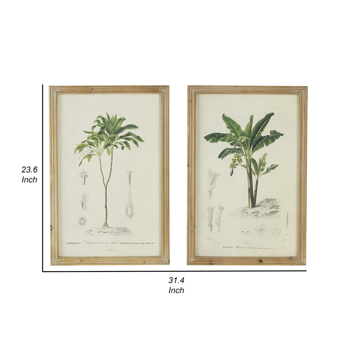 24 x 32 Framed Art Print Set of 2, Tree Design, Fir Wood, Green, Brown - BM312838