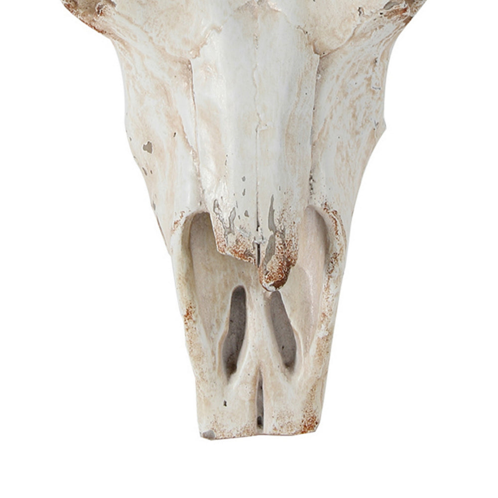 19 Inch Realistic Faux Steer Head Wall Decor, Cow Skull White, Brown Finish - BM312849