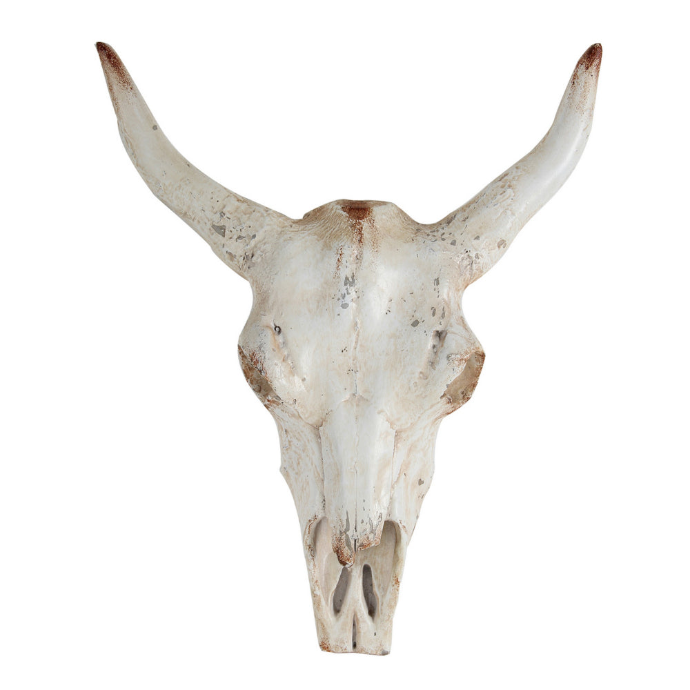 19 Inch Realistic Faux Steer Head Wall Decor, Cow Skull White, Brown Finish - BM312849