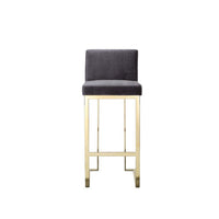 Boly 30 Inch Barstool Chair, Cushioned Gray Velvet, Gold Cantilever Base
 - BM313375