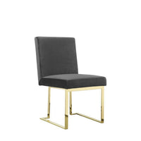 Boly 24 Inch Side Dining Chair Set of 2, Gray Velvet, Gold Cantilever - BM313385