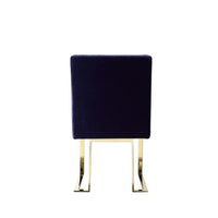 Boly 24 Inch Side Dining Chair Set of 2, Navy Blue Velvet, Gold Cantilever - BM313387