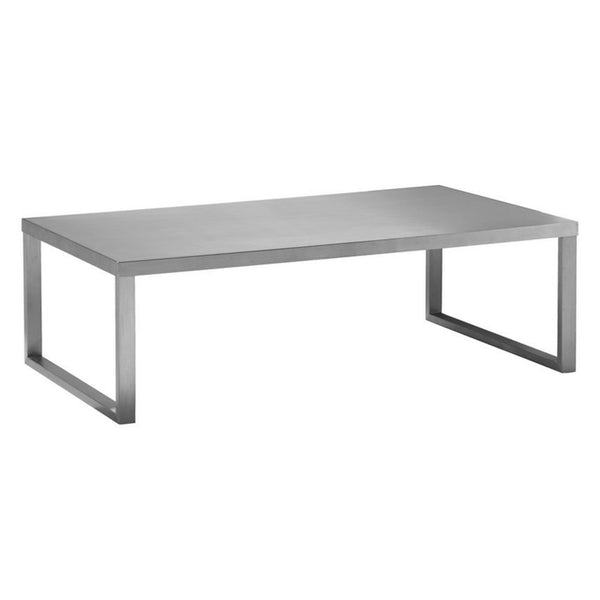 Tani 47 Inch Coffee Table, Rectangular, Modern Brushed Chrome Metal Frame - BM313499