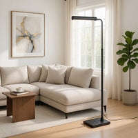 Kime 44-58 Inch Floor Lamp, Adjustable Height, LED, Charcoal Grey Finish - BM313620