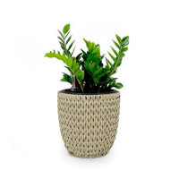 Wiki 15 Inch Self Watering Planter, Handwoven Rattan Wicker, Beige - BM314472