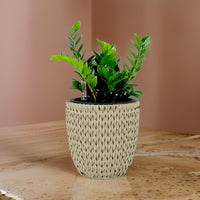 Wiki 15 Inch Self Watering Planter, Handwoven Rattan Wicker, Beige - BM314472