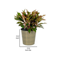 Hema 13 Inch Self Watering Planter, Hand Woven Rattan Wicker, Brown Finish - BM315153