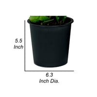 Kiti 6 Inch Set of 5 Round Nursery Planter Pots with Drainage Black Plastic - BM315155