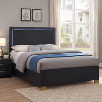 Dex Platform Queen Bed, Panel LED Headboard, Black Wood Melamine Finish