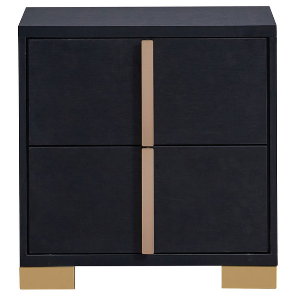 Dex 22 Inch Nightstand, 2 Drawers with Long Vertical Gold Handles, Black - BM315289