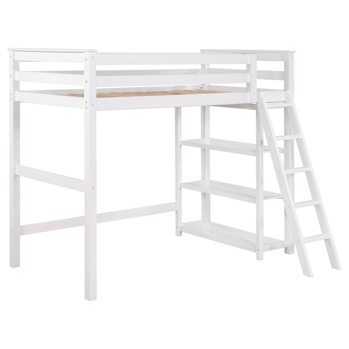 Ica Modern Twin Loft Bed with 3 Shelves and Ladder, White Solid Wood - BM315326