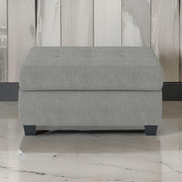 Aston 33 Inch Ottoman, Light Gray Microfiber, Interior Storage, Solid Wood - BM316768