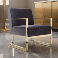 Boly 28 Inch Lounge Chair, Gray Velvet Upholstery, Gold Steel Frame - BM316960
