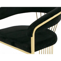 Moha 24 Inch Dining Chair, Round Cantilever Base, Black Velvet, Gold Finish - BM317452