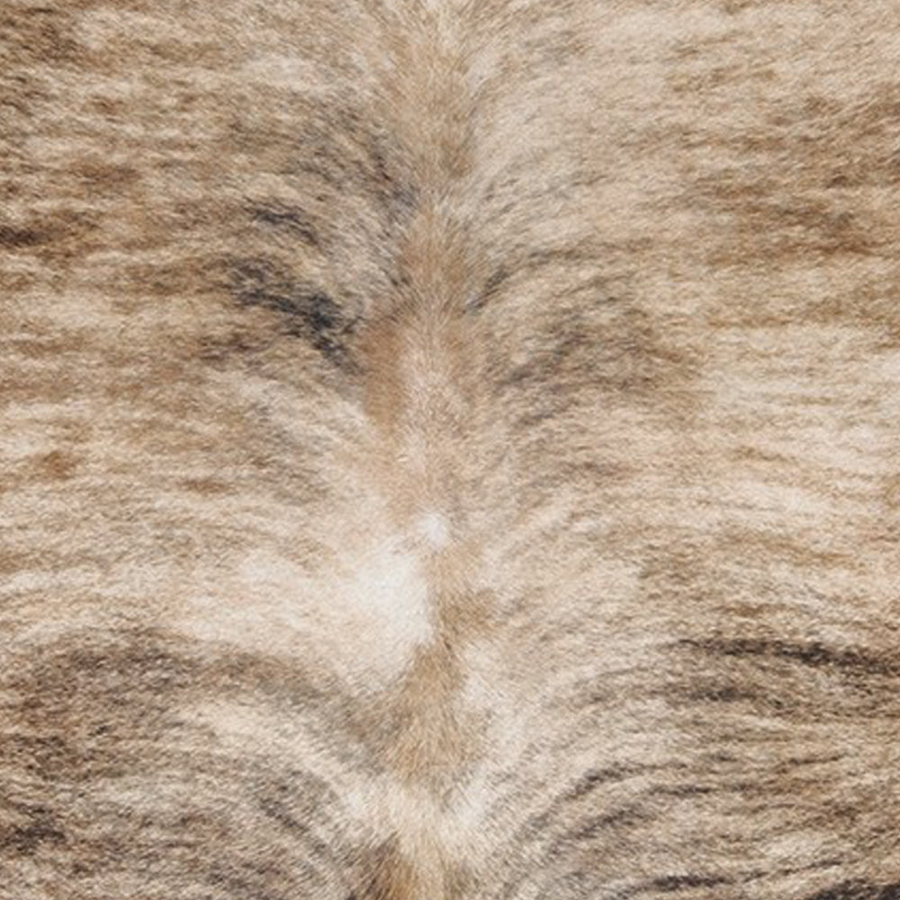 Meni 6 x 8 Medium Area Rug, Machine Woven, Faux Fur Animal Print, Brown  - BM318249