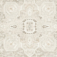 Wei 5 x 7 Medium Area Rug, Persian Inspired Medallion Motif, Beige Gray - BM318250