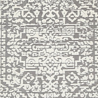 Fabiola 5 x 7 Area Rug, Washable Polyester Distressed Gray Ivory - BM318335