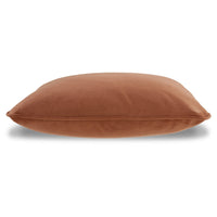 Wali Pillow Set of 4, 20 Inch Square, Feather Fill, Velvety Spice Pink - BM318683