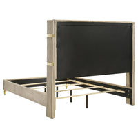 Jenny Queen Size Bed, Fluted Wingback Headboard, Beige Upholstery Gold Trim