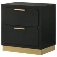 Caer Nightstand, 2 Drawers, Gold Accent Recessed Base, Bar Handles, Black  - BM318890