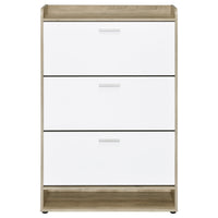 Danny Shoe Storage Cabinet, 3 Tiered, Bottom Shelf, Antiqued White Pine  - BM318982